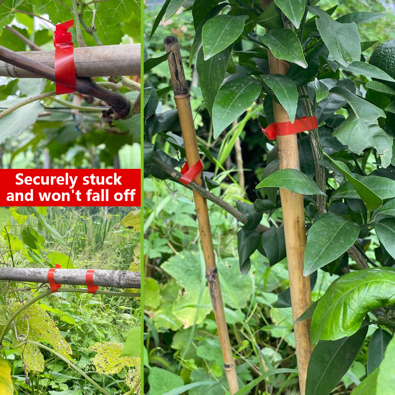 Household Garden Plant Tying T - Florist Supply Bulk review and price